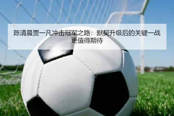 陈清晨贾一凡冲击冠军之路：默契升级后的关键一战更值得期待